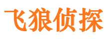 双江市婚外情调查